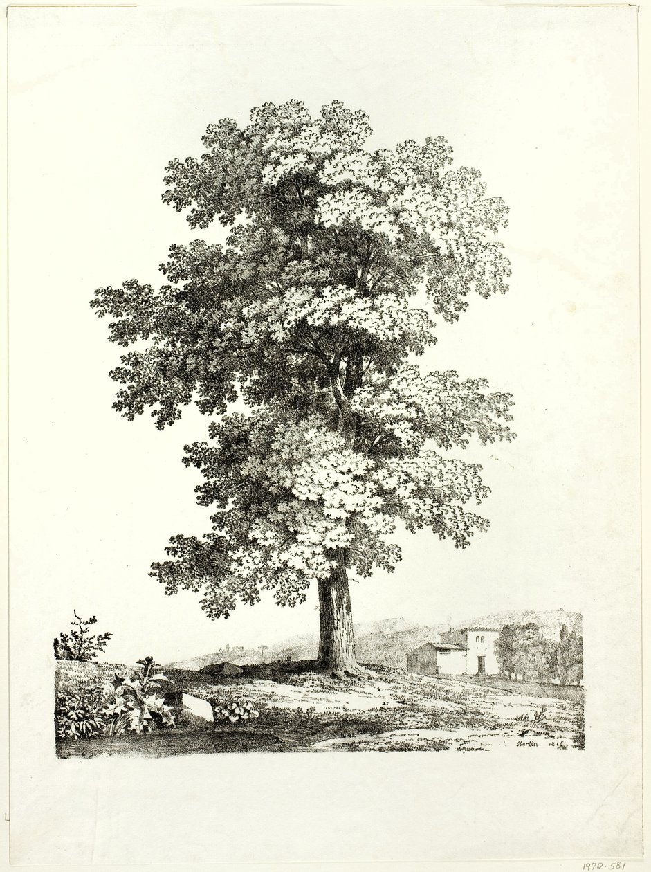 Studie av et tre av Jean Victor Bertin
