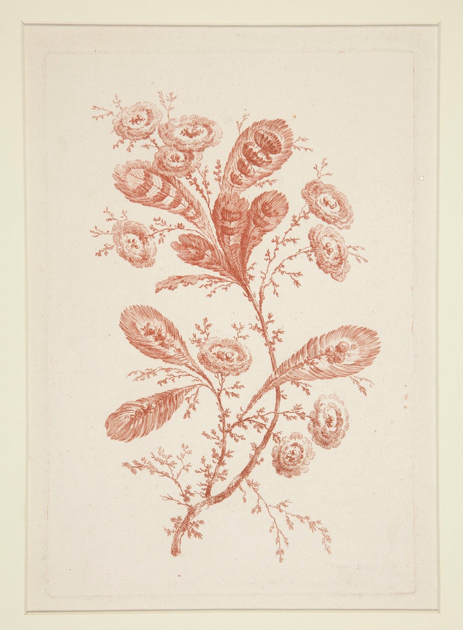 Uten tittel (Ideelle blomster), fra et sett på seks av Jeanne Deny