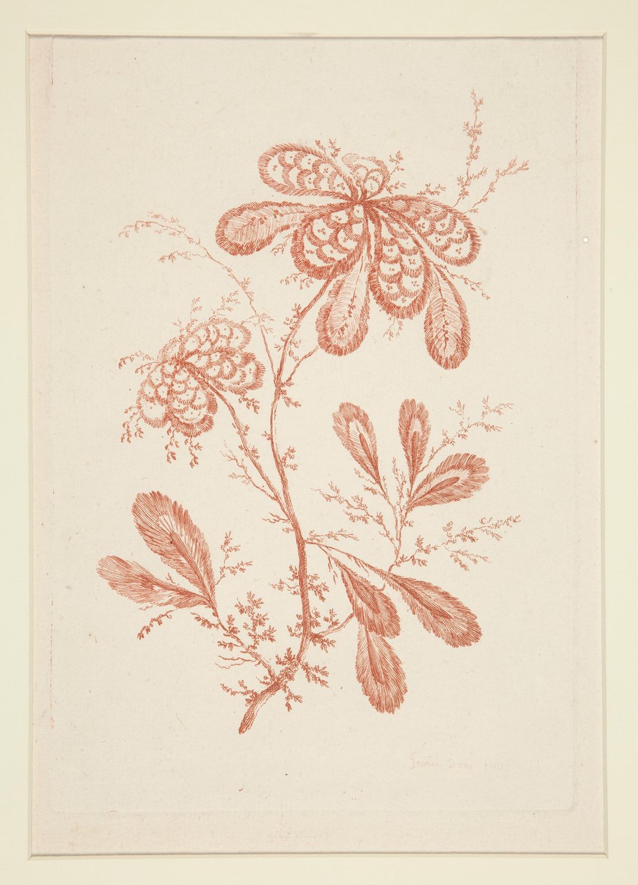 Uten tittel (Ideelle blomster), fra et sett på seks av Jeanne Deny