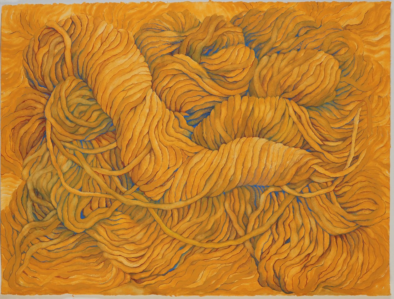  av Jeanne Maze