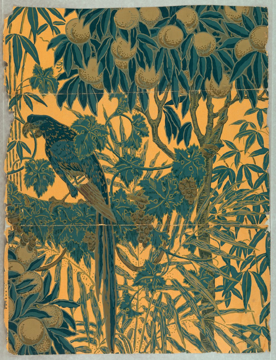 Sidevegg, Macaw, 1908 av Jeffrey