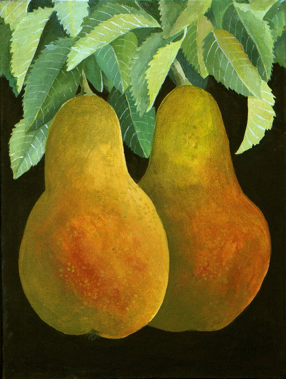  av Jennifer Abbott