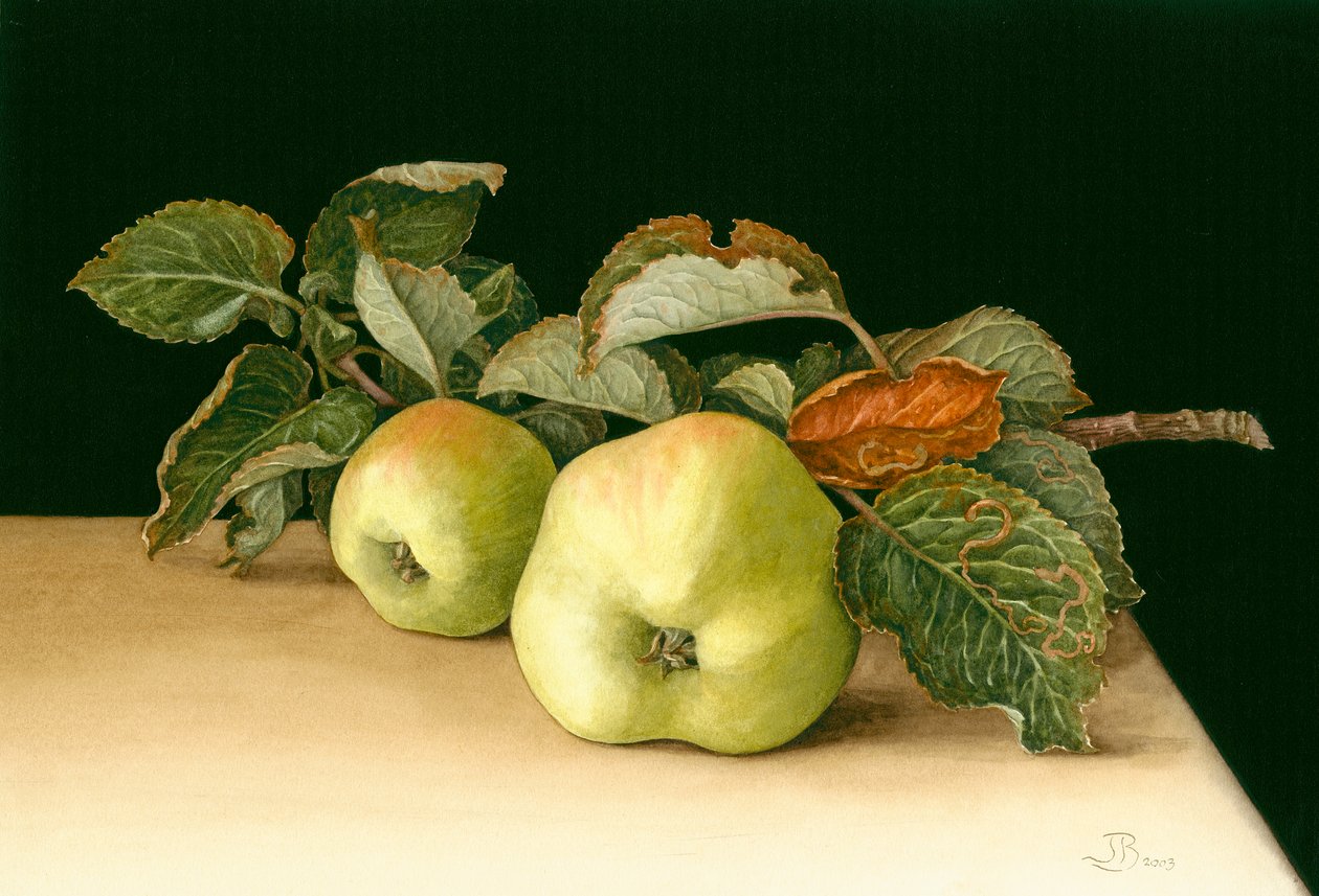 Bramleys av Jenny Barron