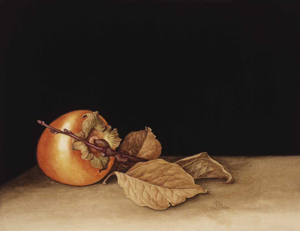 Persimmon, 2004 (wc på papir) av Jenny Barron