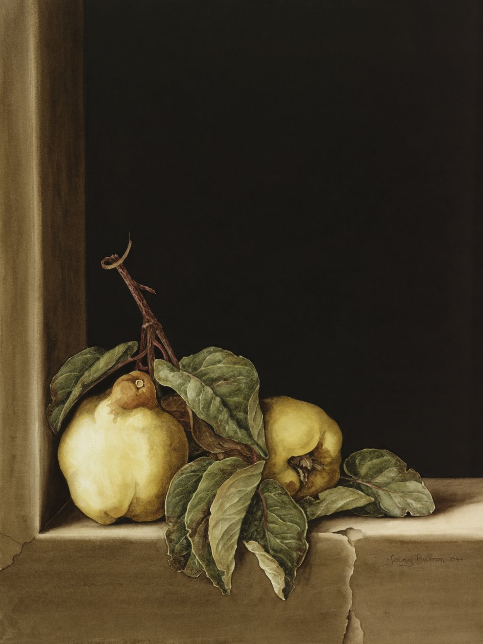 Quinces, 2005 (wc på papir) av Jenny Barron
