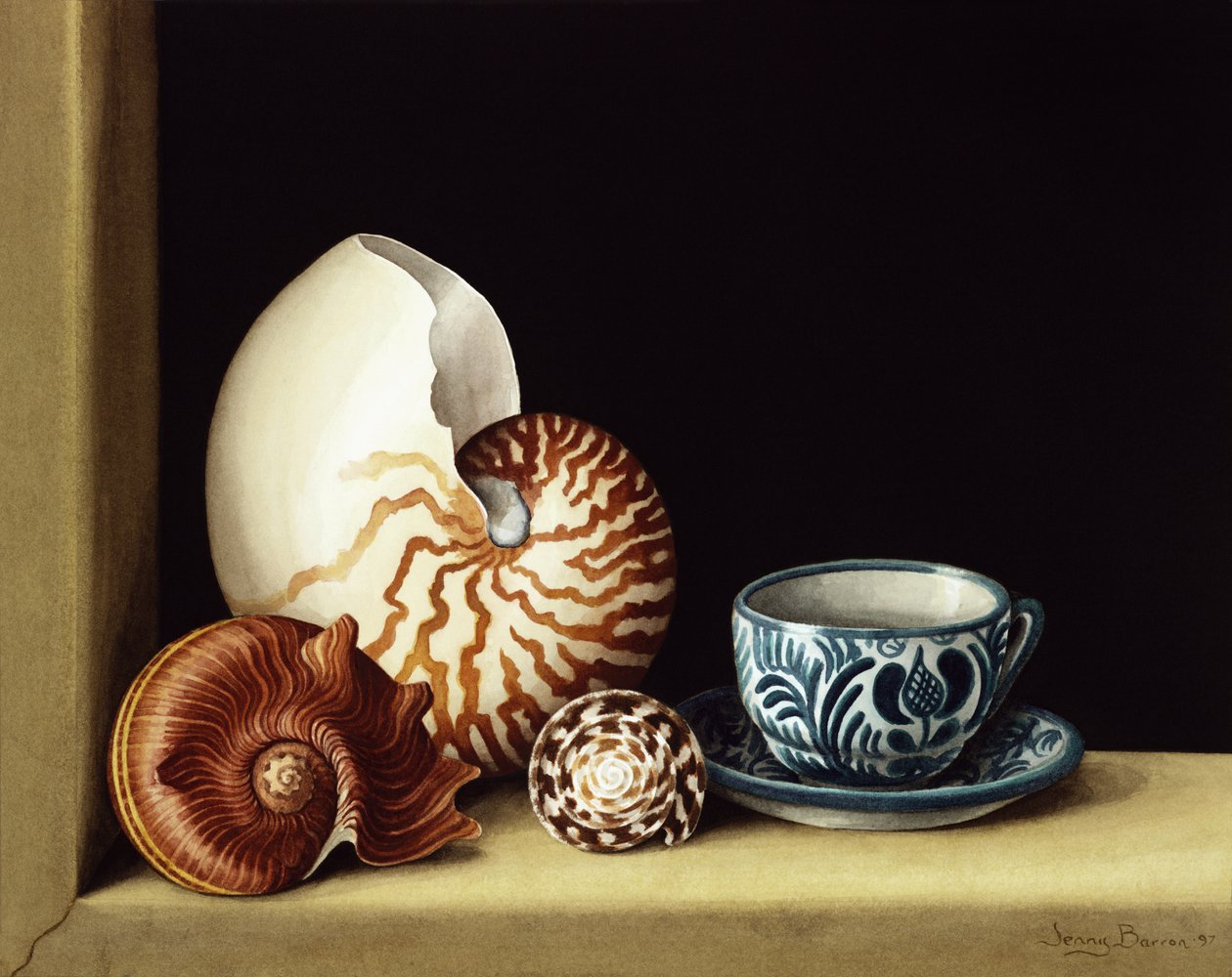 Stilleben med Nautilus, 1998 (wc på papir) av Jenny Barron