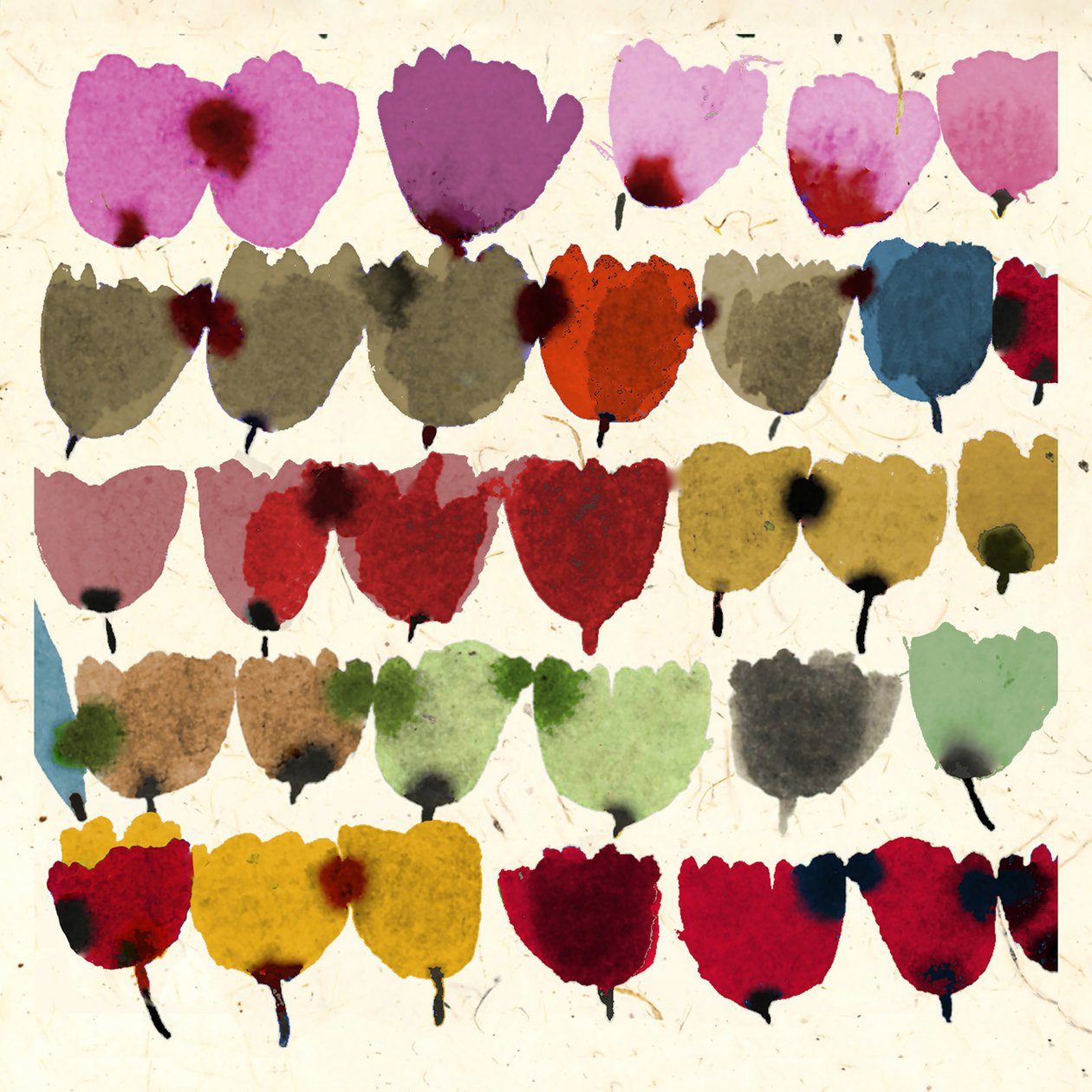 BLEKKTE TULIPANER av Jenny Frean
