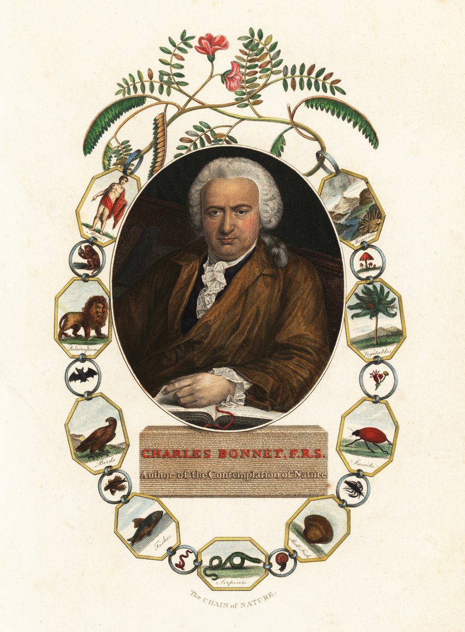 Portrett av Charles Bonnet, naturforsker i Geneve.1803 (gravering) av Jens Juel