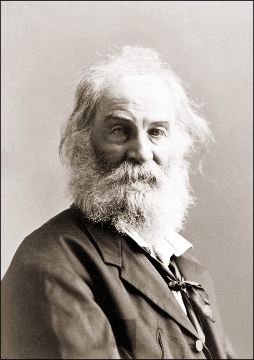 Portrett av Walt Whitman (1819 - 1892) av Gurney mellom 1880 og 1890. av Jeremiah Gurney
