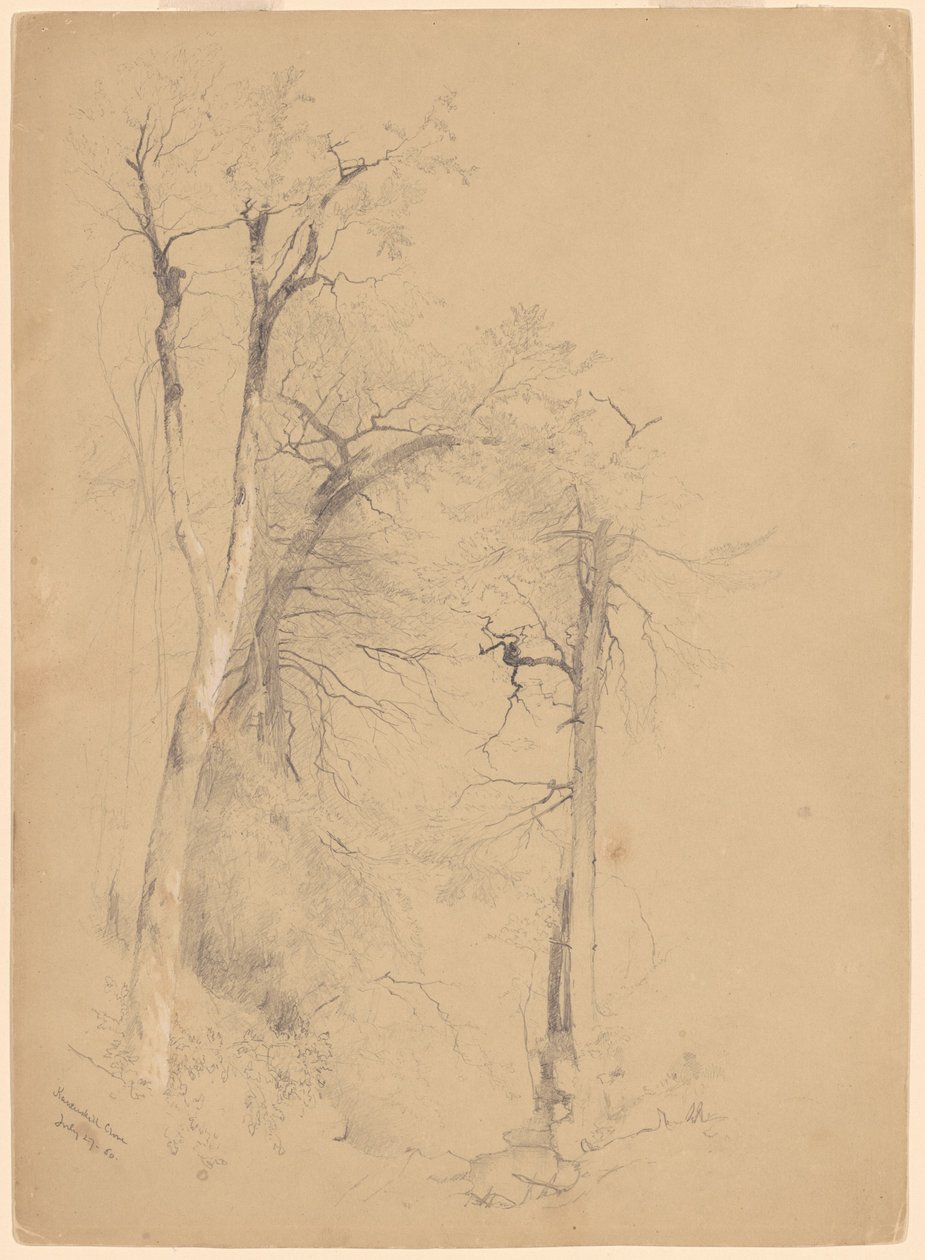 Kaaterskill fedd av Jervis McEntee
