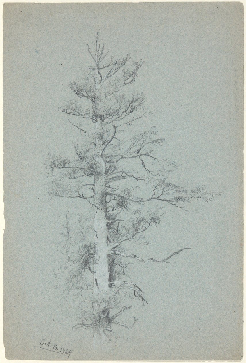 Trestudie av Jervis McEntee