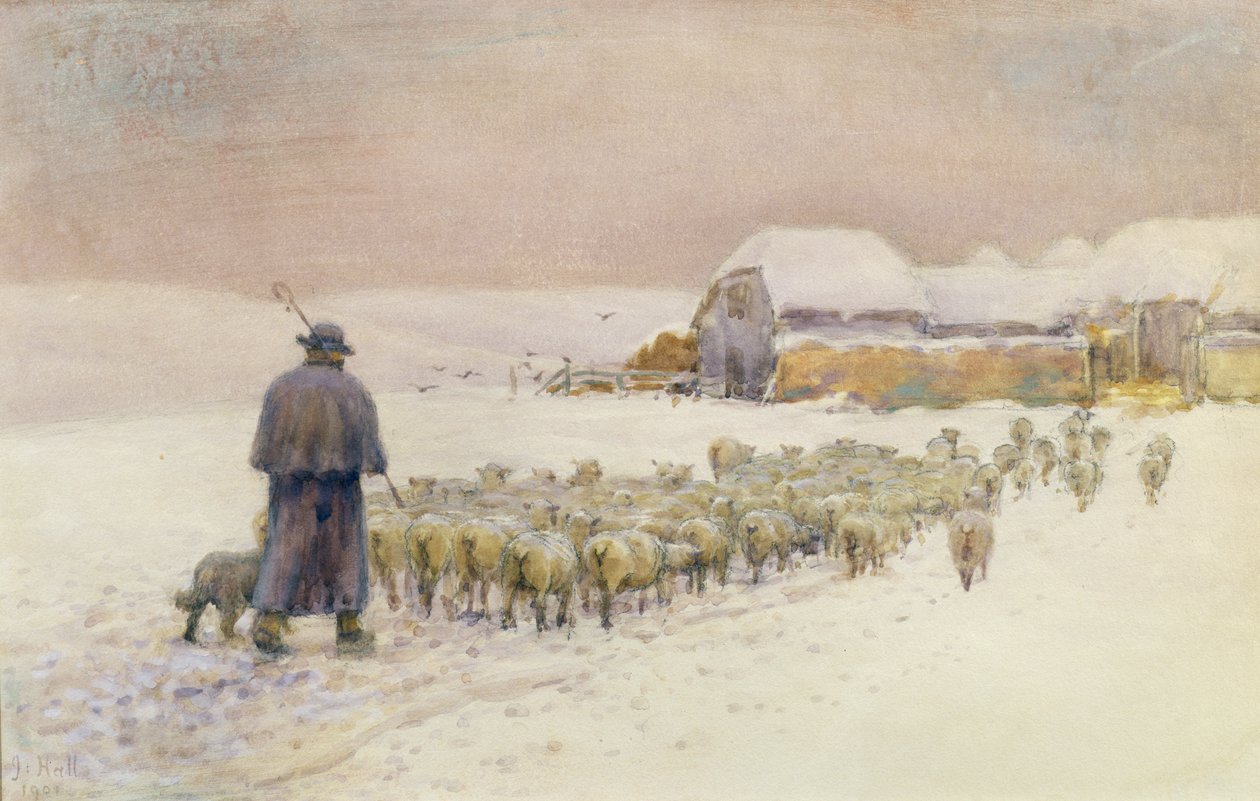 Innføring av flokken, 1901 av Jessie Hall