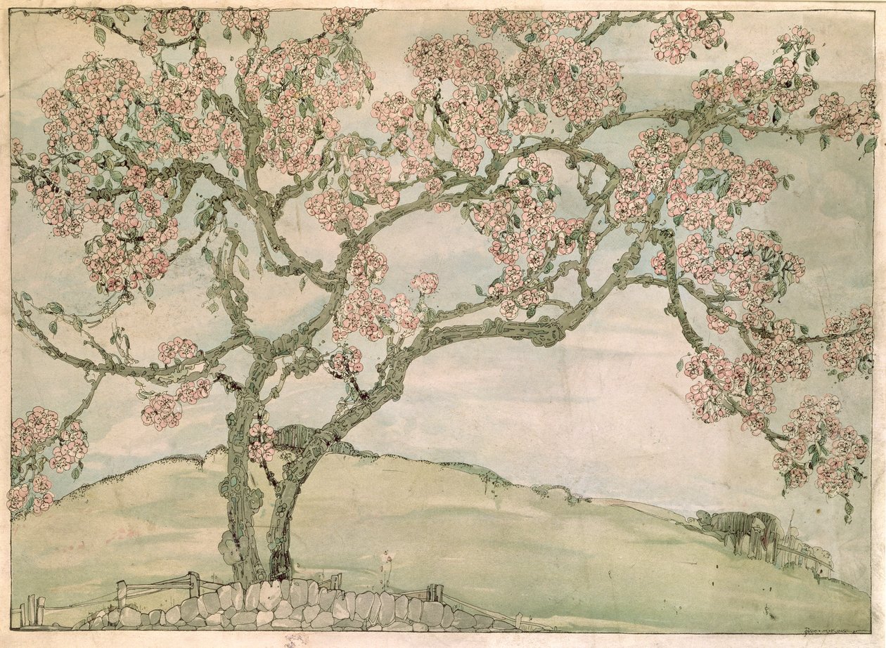 Epleblomst av Jessie Marion King