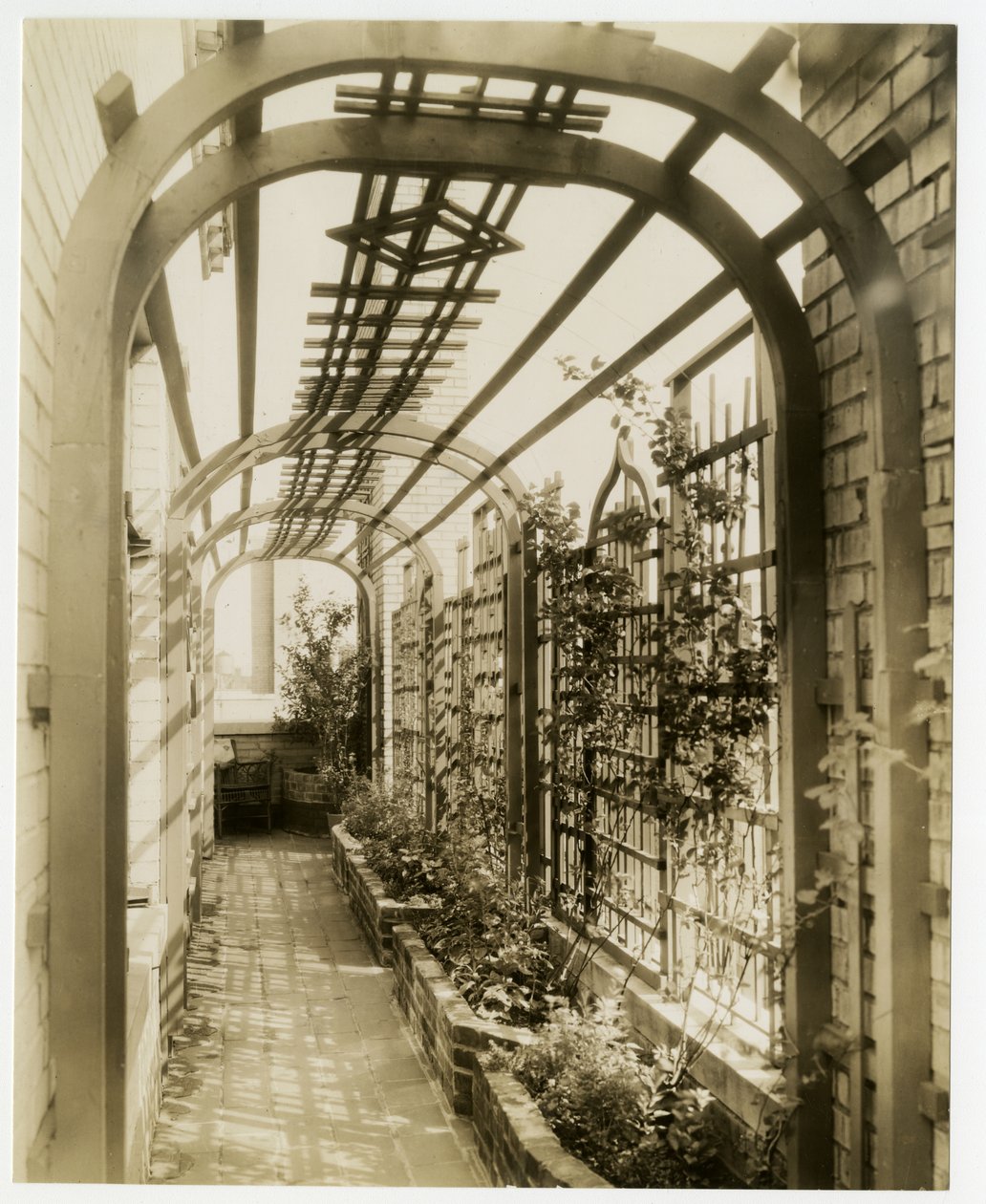 Bakhagen til fru Regina Jais, ca. 1936-37 (foto av gelatinsølv) av Jessie Tarbox Beals