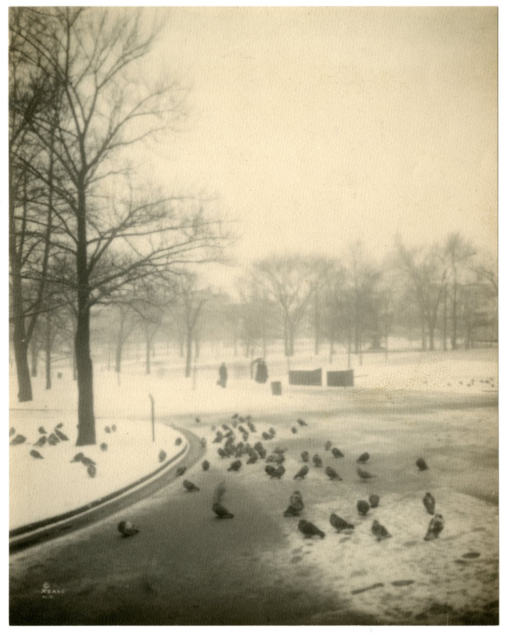 Boston Common, Boston, USA, ca. 1902-10 av Jessie Tarbox Beals