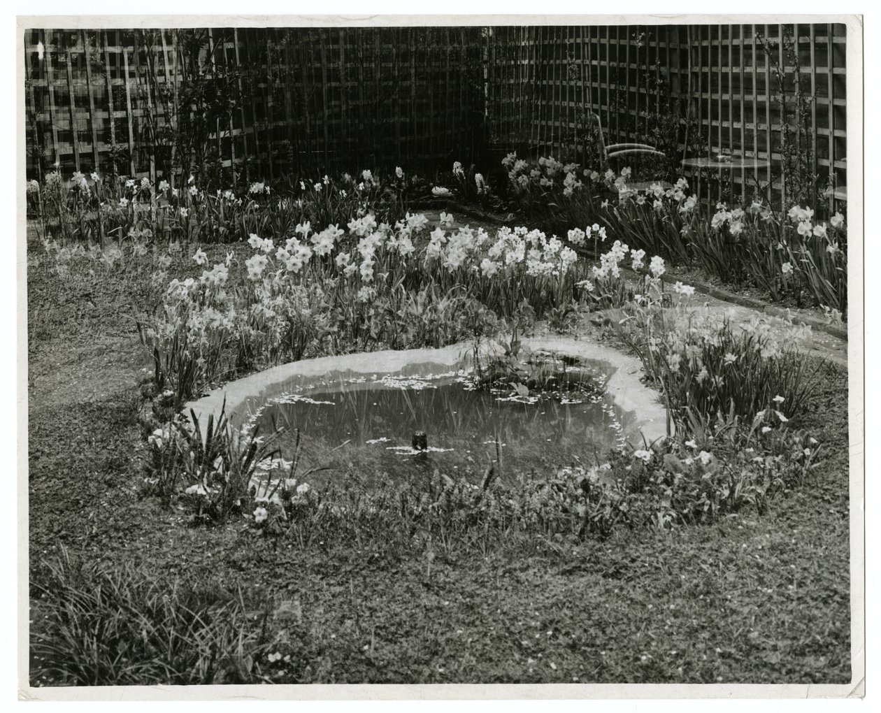 Garden of Mr & Mrs Wm H Wells 265 W 11th St, New York, USA av Jessie Tarbox Beals