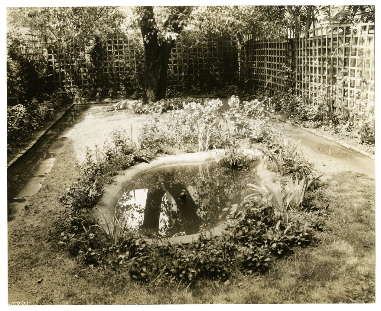 Garden of Mrs W H Wells 265 W 11th, Greenwich Village, New York, USA, ca. 1936-37 (foto av gelatinsølv) av Jessie Tarbox Beals