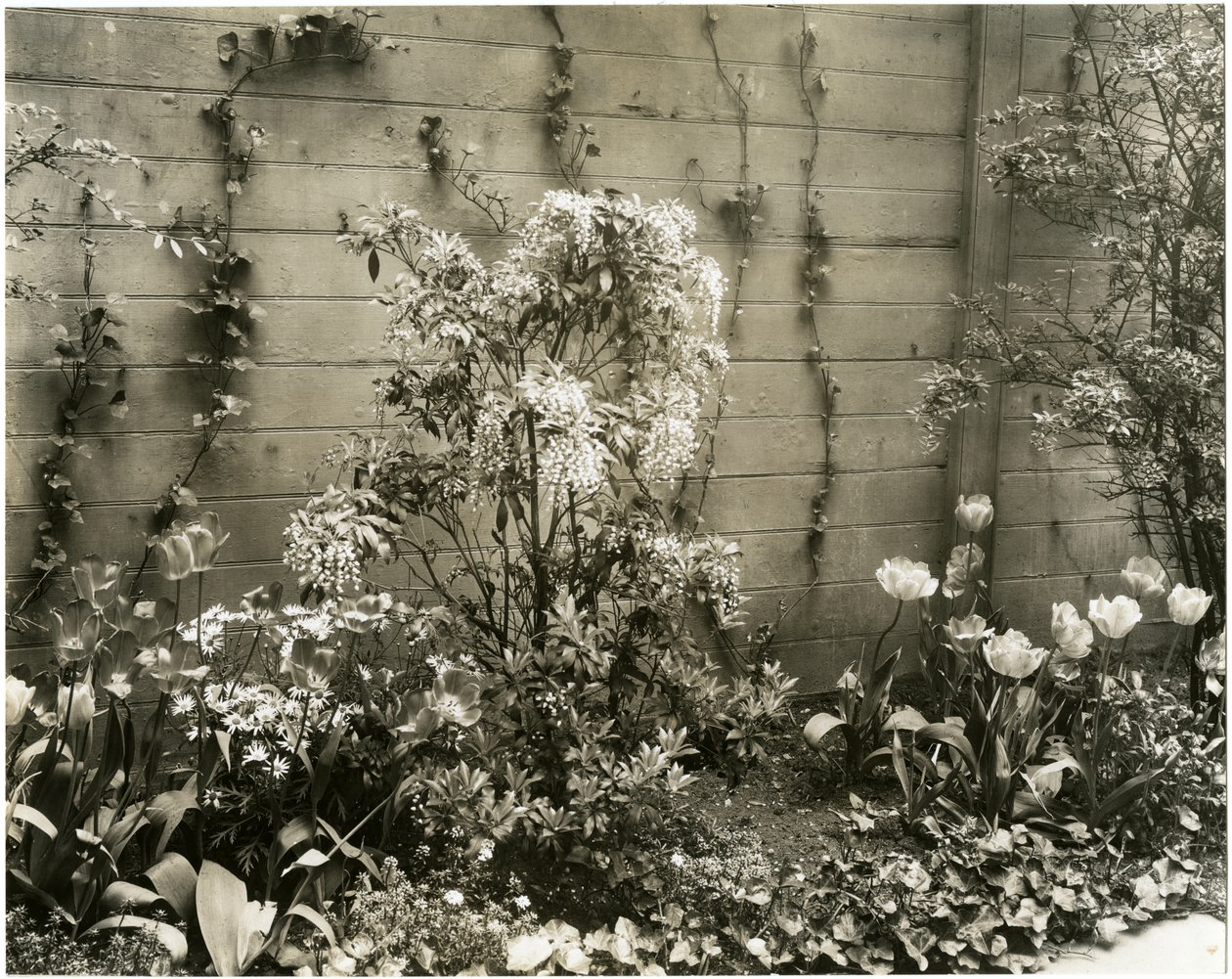 Mr & Mrs John Morgan, 39 W 11 St Center Andromeda-anlegget, Greenwich Village, New York, USA, ca. 1939-40 (foto av gelatinsølv) av Jessie Tarbox Beals