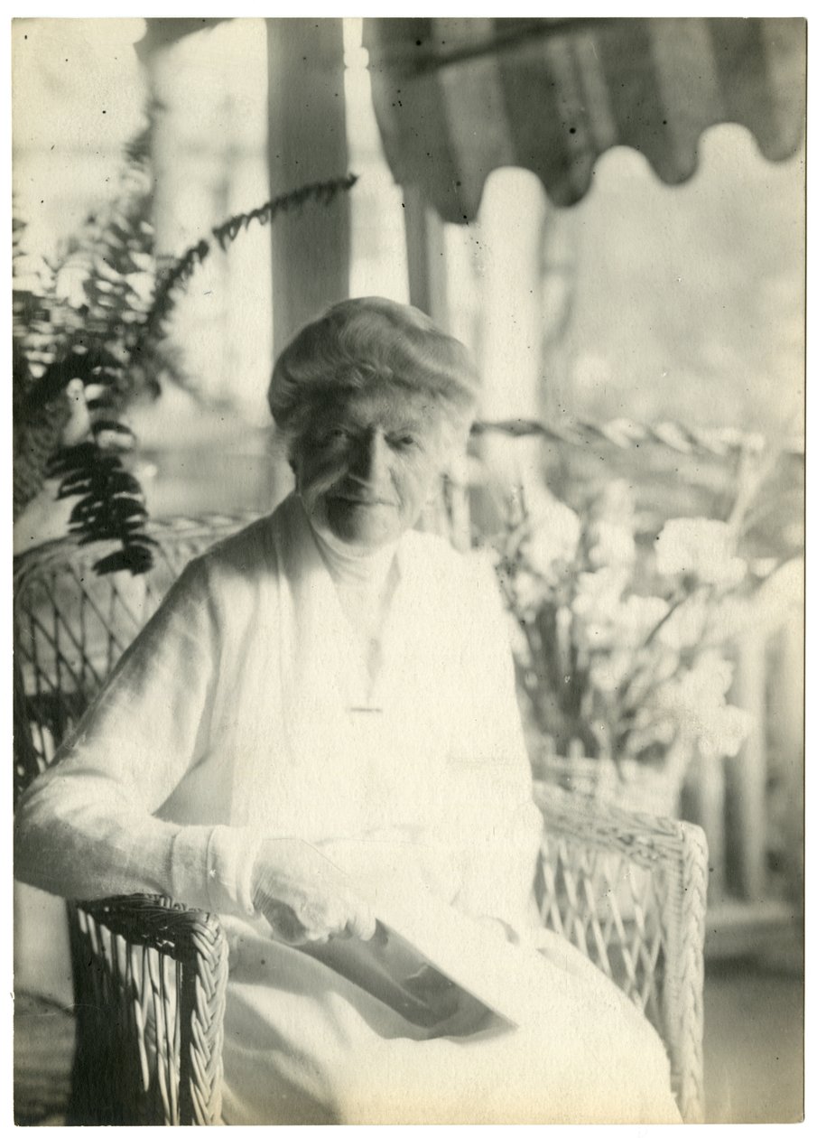 Mrs LD James fra Williamsburg Massachusetts, søster til Marshall Field, ca. 1905-28 (foto av gelatinsølv) av Jessie Tarbox Beals