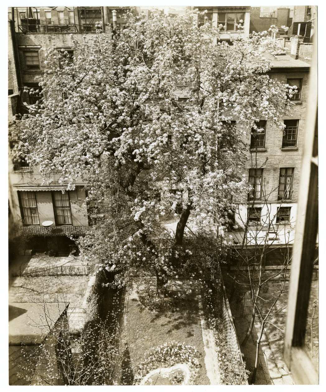 Mrs W H Wells 265 W 11 av Jessie Tarbox Beals