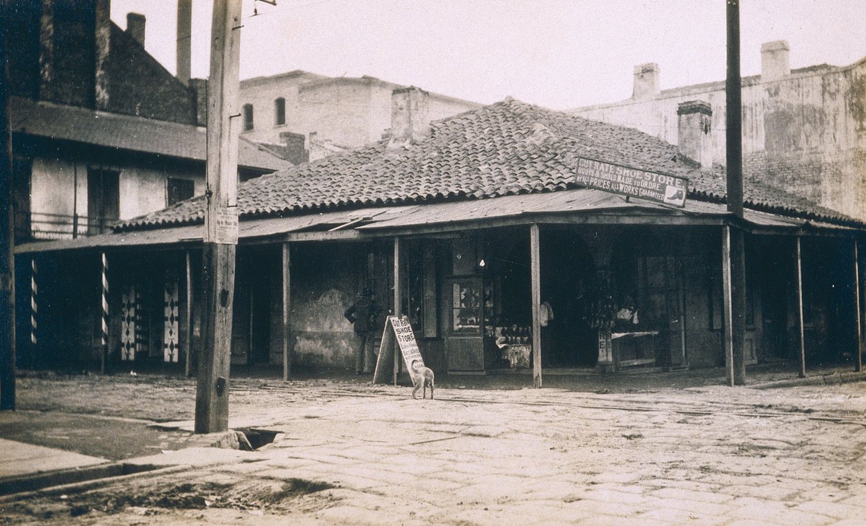 New Orleans, ca. 1905 av Jessie Tarbox Beals