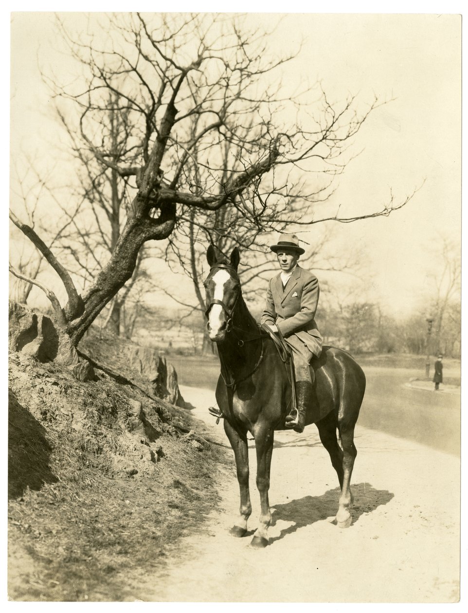 Roland Young, ca. 1905-27 (foto av gelatinsølv) av Jessie Tarbox Beals