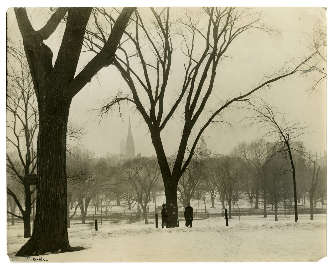 The Common, Boston, USA, ca. 1902-10 (foto av gelatinsølv) av Jessie Tarbox Beals