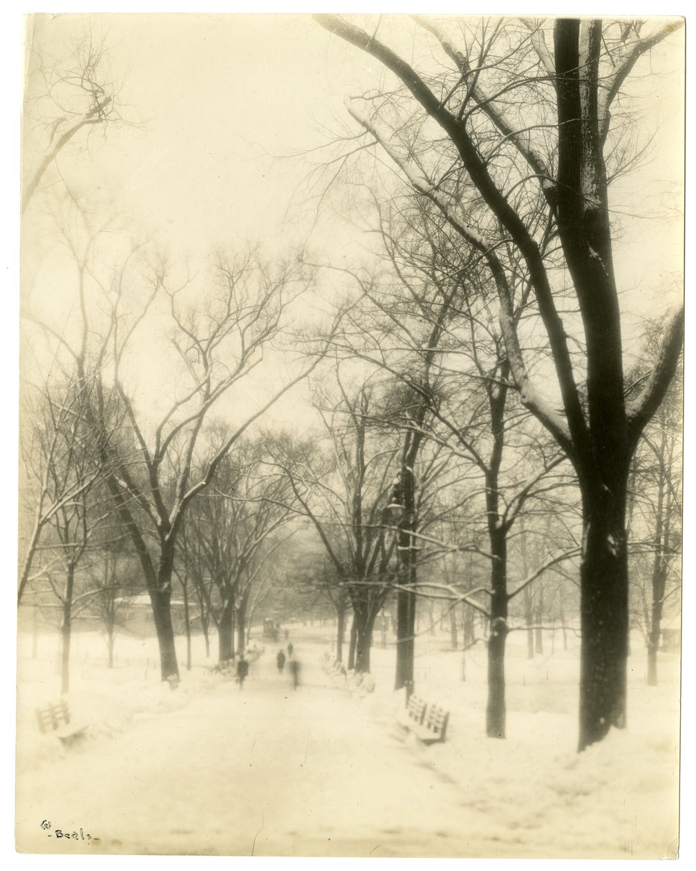 The Common, Boston, USA, ca. 1902-10 (foto av gelatinsølv) av Jessie Tarbox Beals