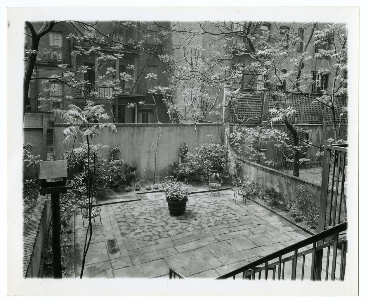 bakgård med fuglehus, New York, USA, ca. 1905-40 (foto av gelatinsølv) av Jessie Tarbox Beals