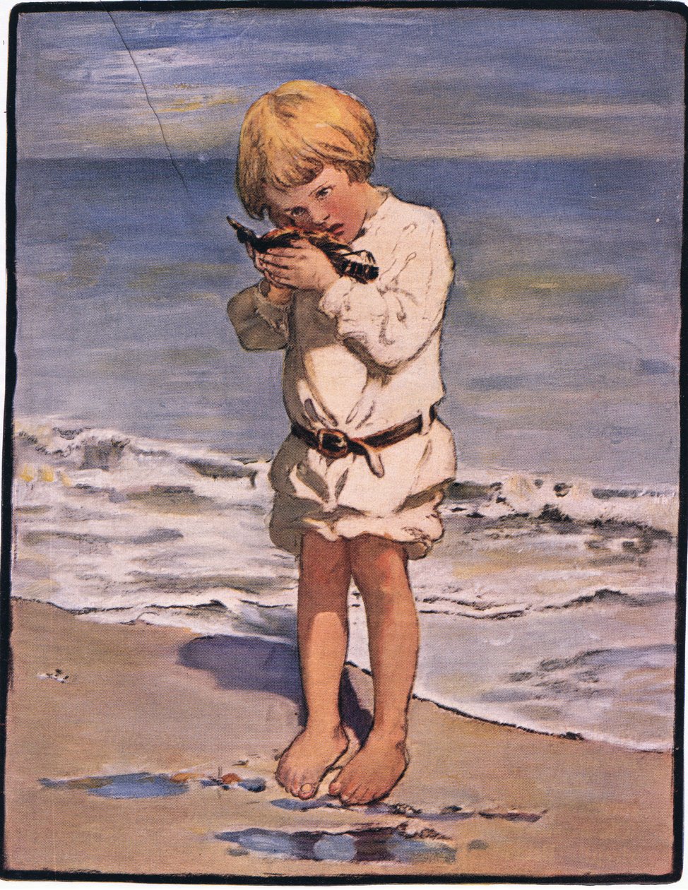 Billy boys oppdagelse var en måke, med en skadet vinge (farge litho) av Jessie Willcox Smith