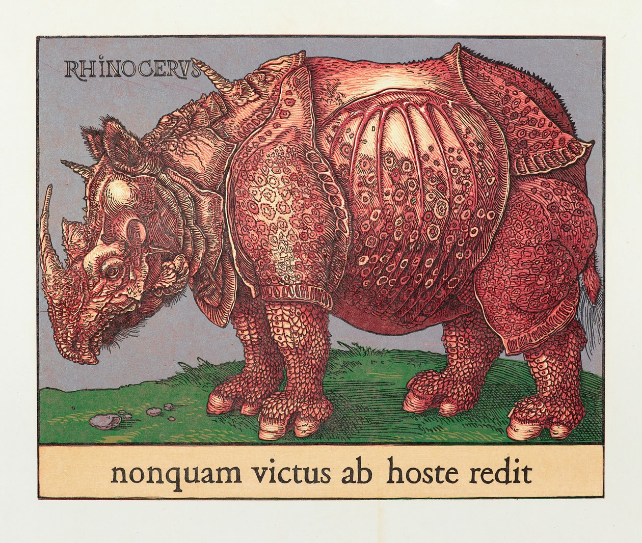 Red Rhino, 2007 (tresnitt) av Jim Monson