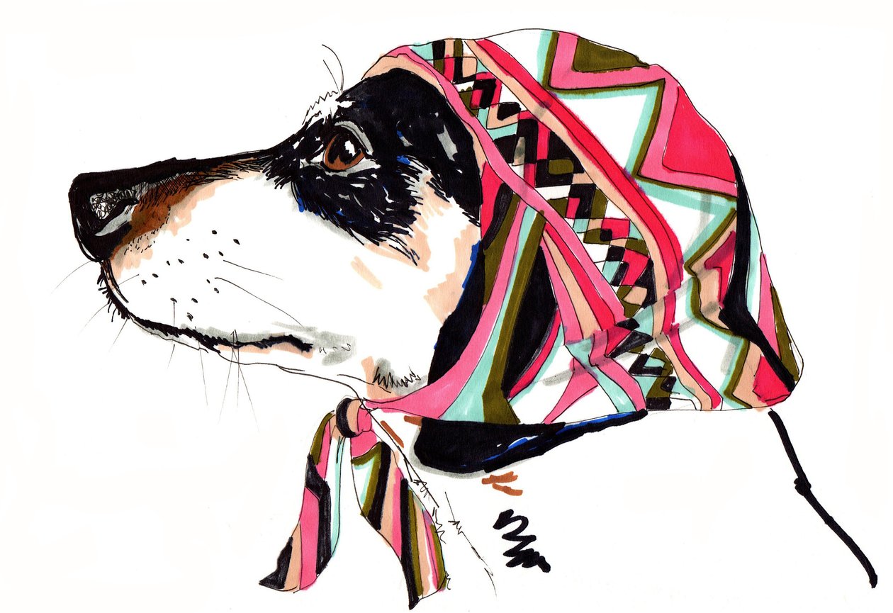 Pooch In Pucci, 2012 (penn og blekk på papir) av Jo Chambers