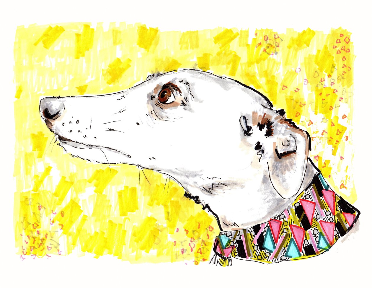 Silvertips The Greyhound, 2012 (penn og blekk på papir) av Jo Chambers