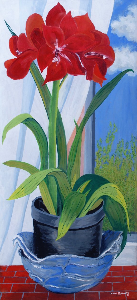 Amaryllis i en blå skål 2011 av Joan Thewsey