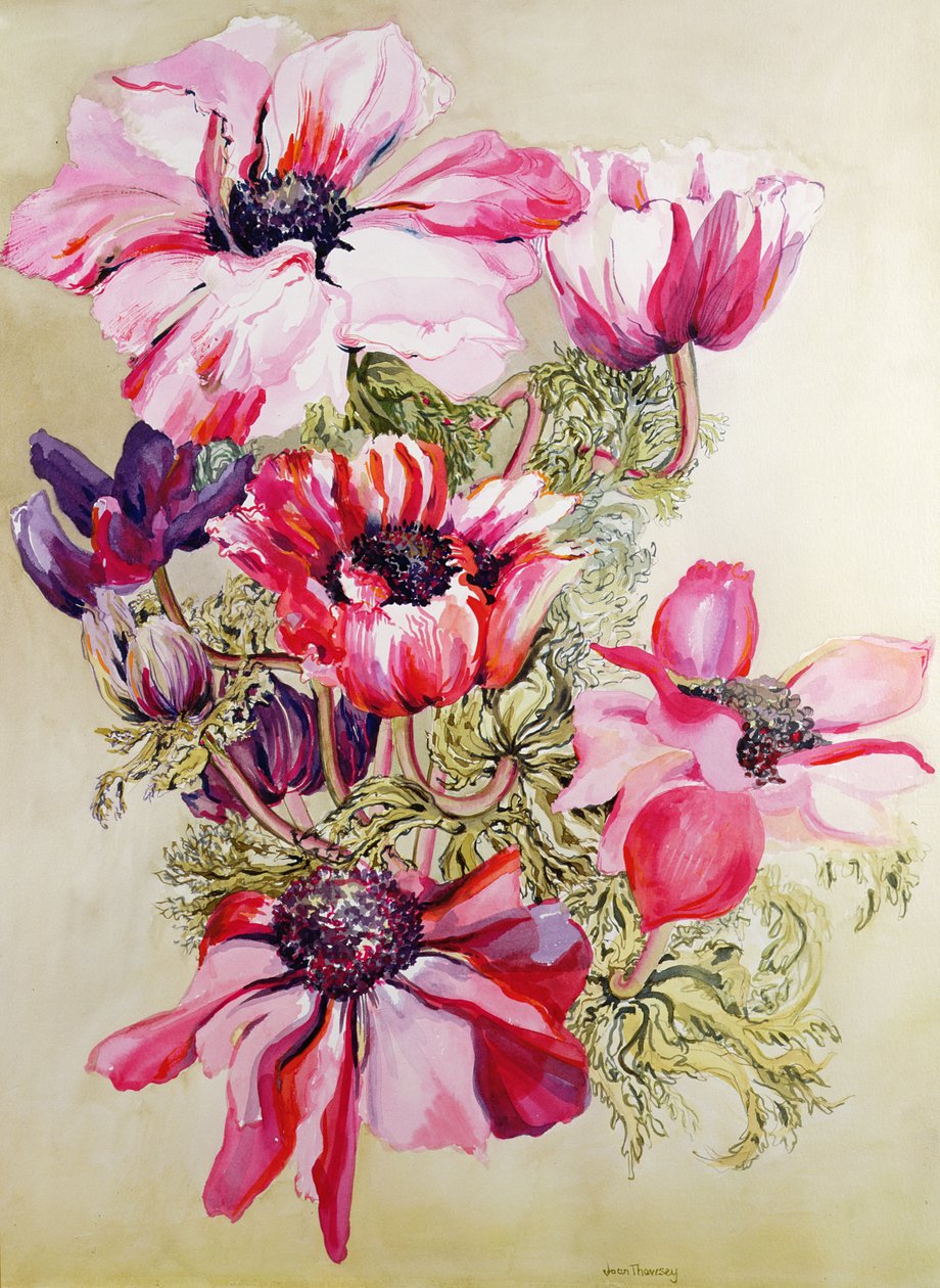 Anemoner av Joan Thewsey