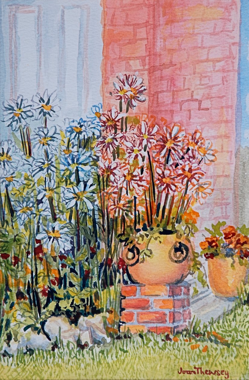 Marguerites i hyttehagen av Joan Thewsey