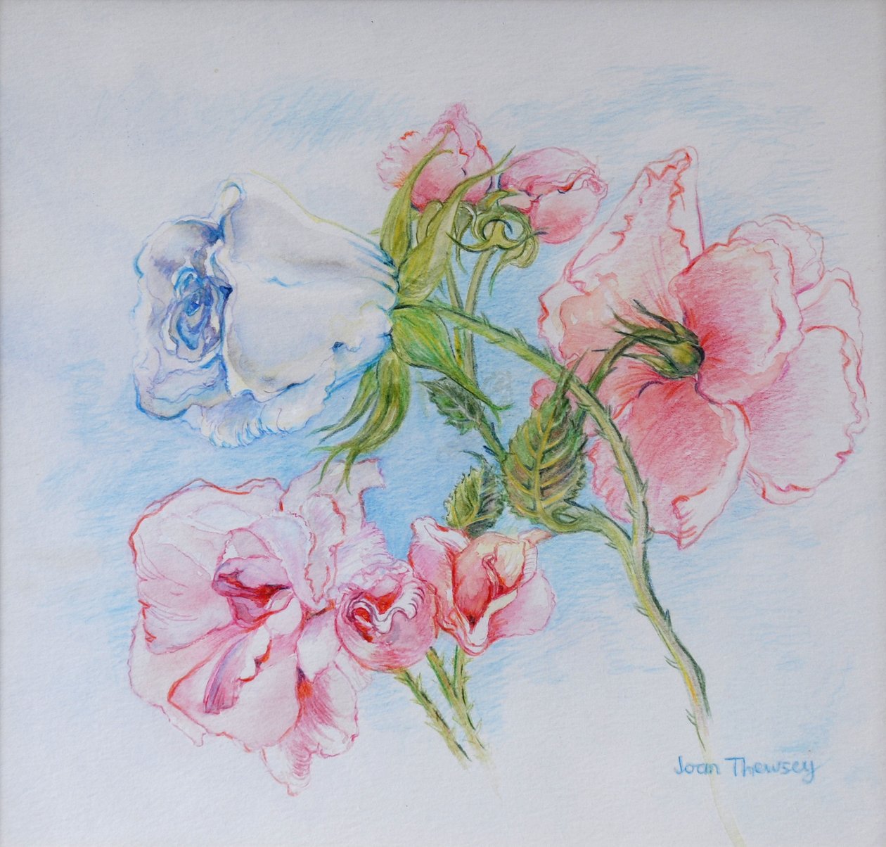 Morgenroser 2002 av Joan Thewsey