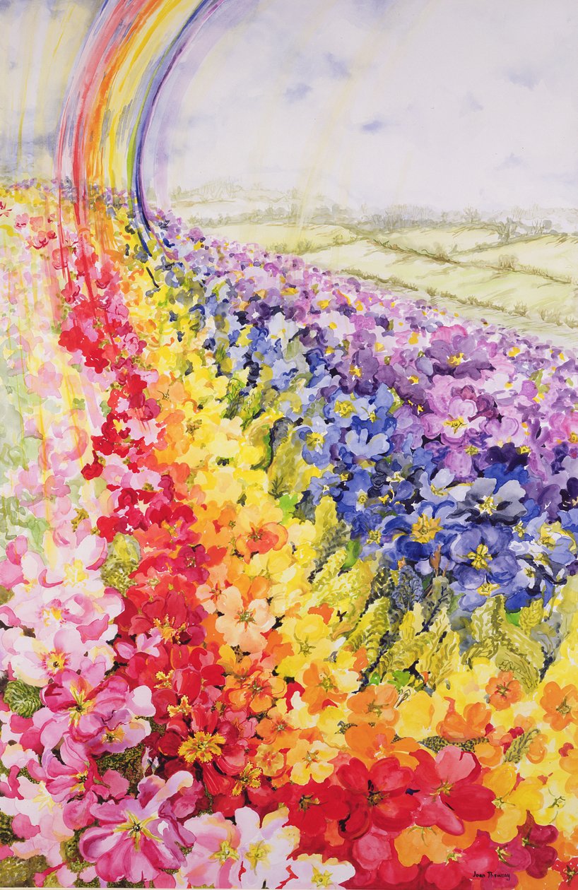 Primrose Rainbow av Joan Thewsey