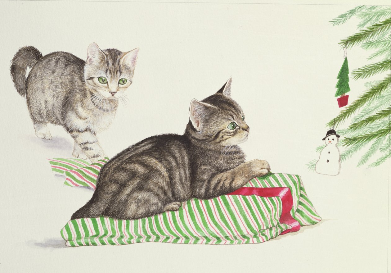 To kattunger av Joan Freestone