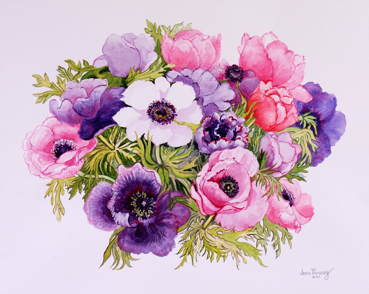 Anemoner, 2001, vannfarge på håndlaget papir av Joan Thewsey