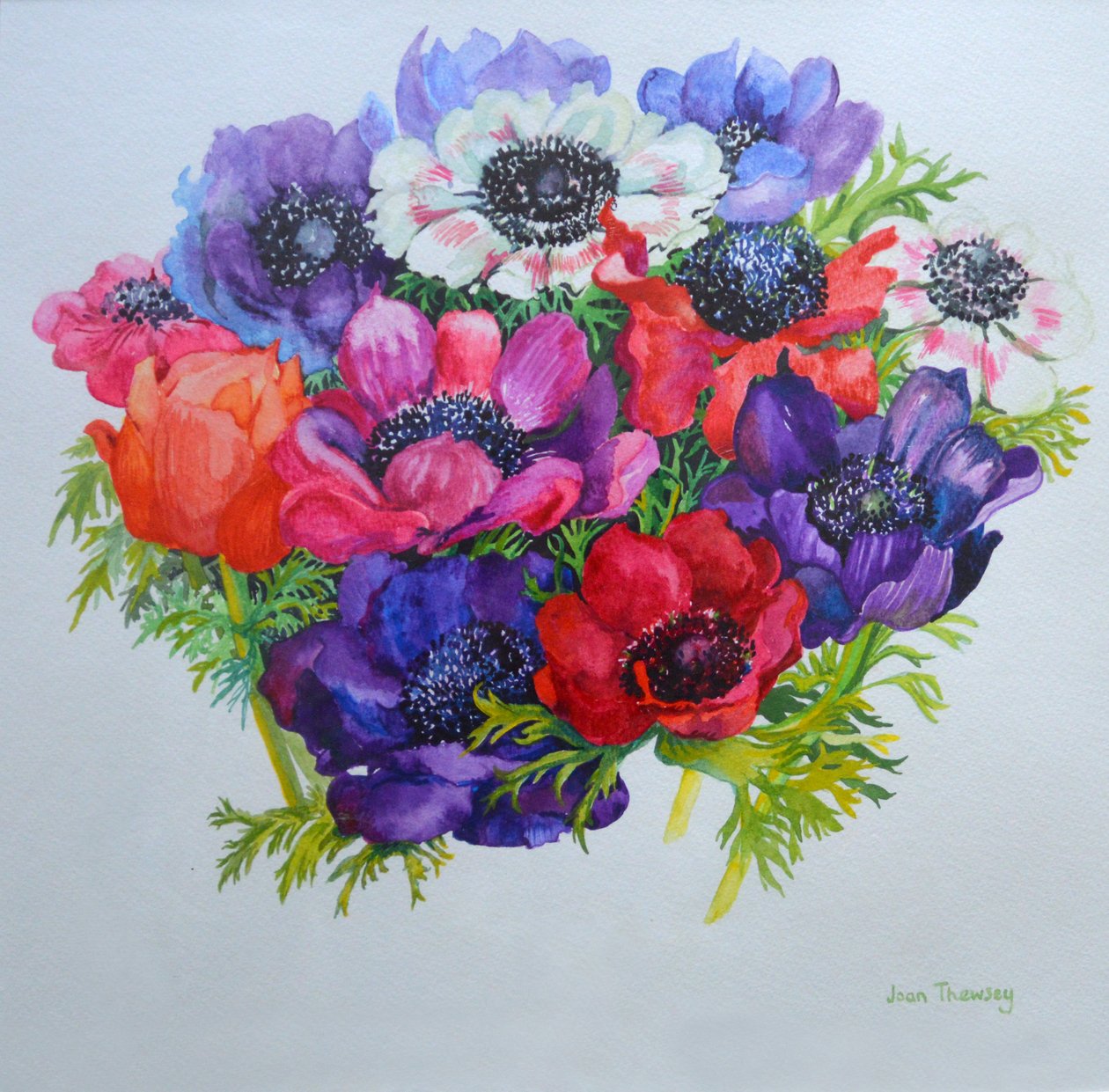 Anemoner: rød, hvit, rosa og lilla, 2000, av Joan Thewsey