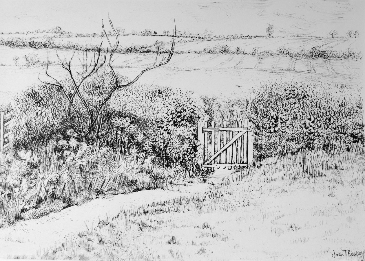 Cottage Gate and View Beyond, 2015, (penn og blekk) av Joan Thewsey