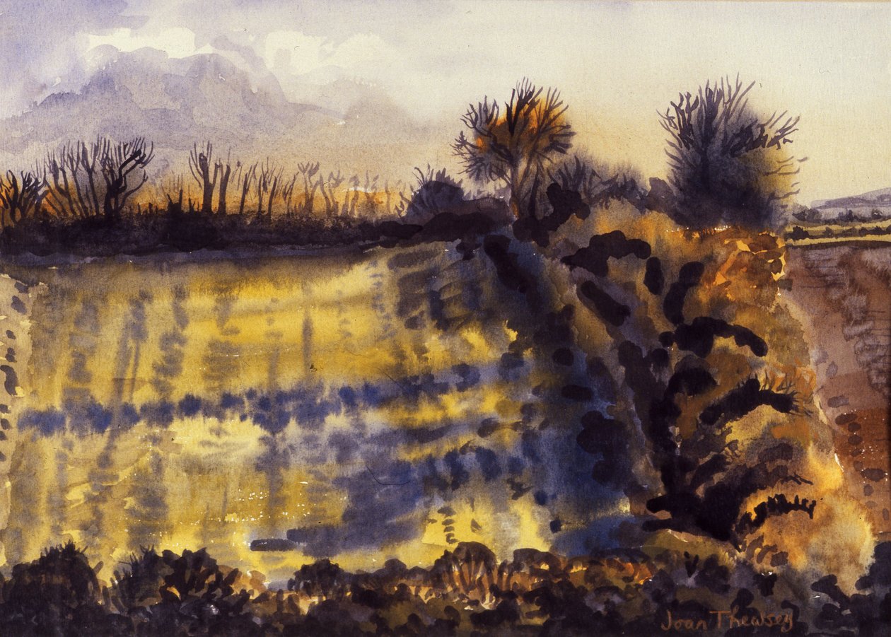 Field with Long Shadows, 1990, akvarell på håndlaget papir av Joan Thewsey