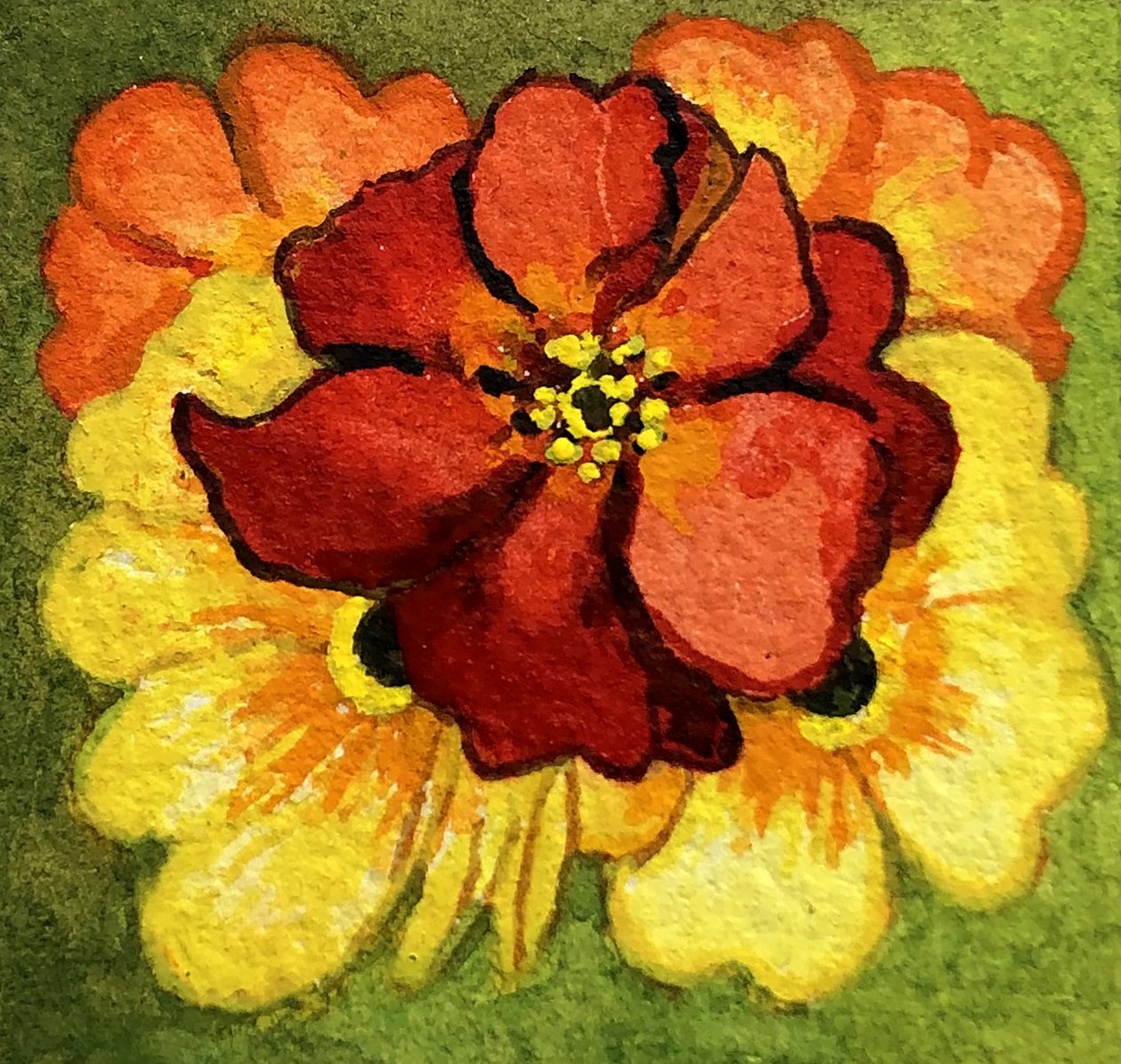 Five Primroses, rød, gul og oransje (akvarell) av Joan Thewsey