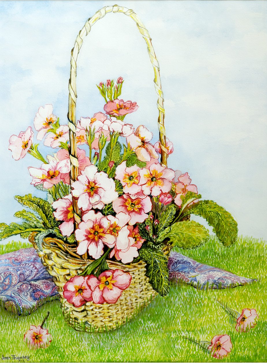 Rosa Primroses i en blomsterhandlerkurv med et Paisley-skjerf, 2010, akvarell av Joan Thewsey