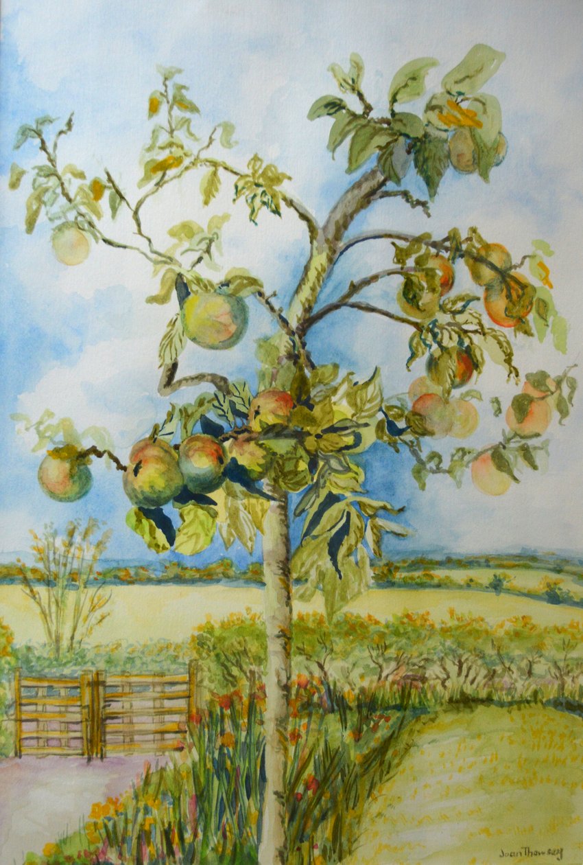 Epletreet, 2001 av Joan Thewsey