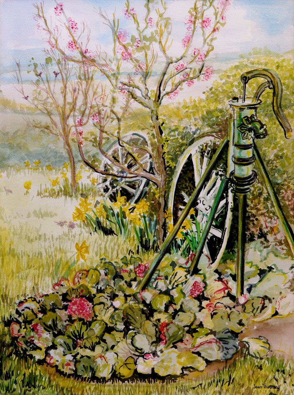 Hagepumpen, 2010, akvarell av Joan Thewsey