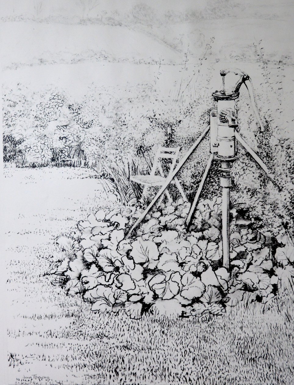The Garden Pump, 1973 (kull) av Joan Thewsey
