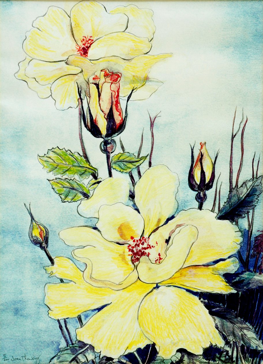 Yellow Rose in a Suffolk Breeze, 2005, (vannfarge) av Joan Thewsey