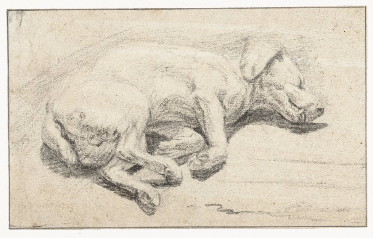 Liggende hund, sover av Joannes Fijt (attributed to)